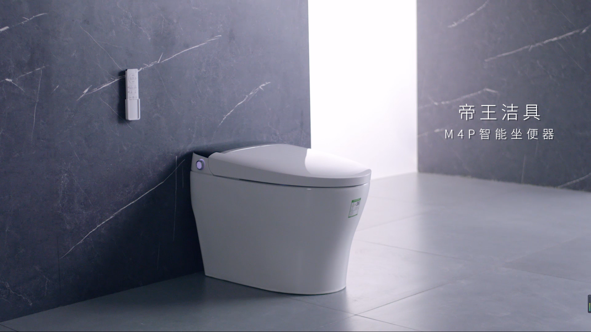 Monarch M4P Smart Toilet